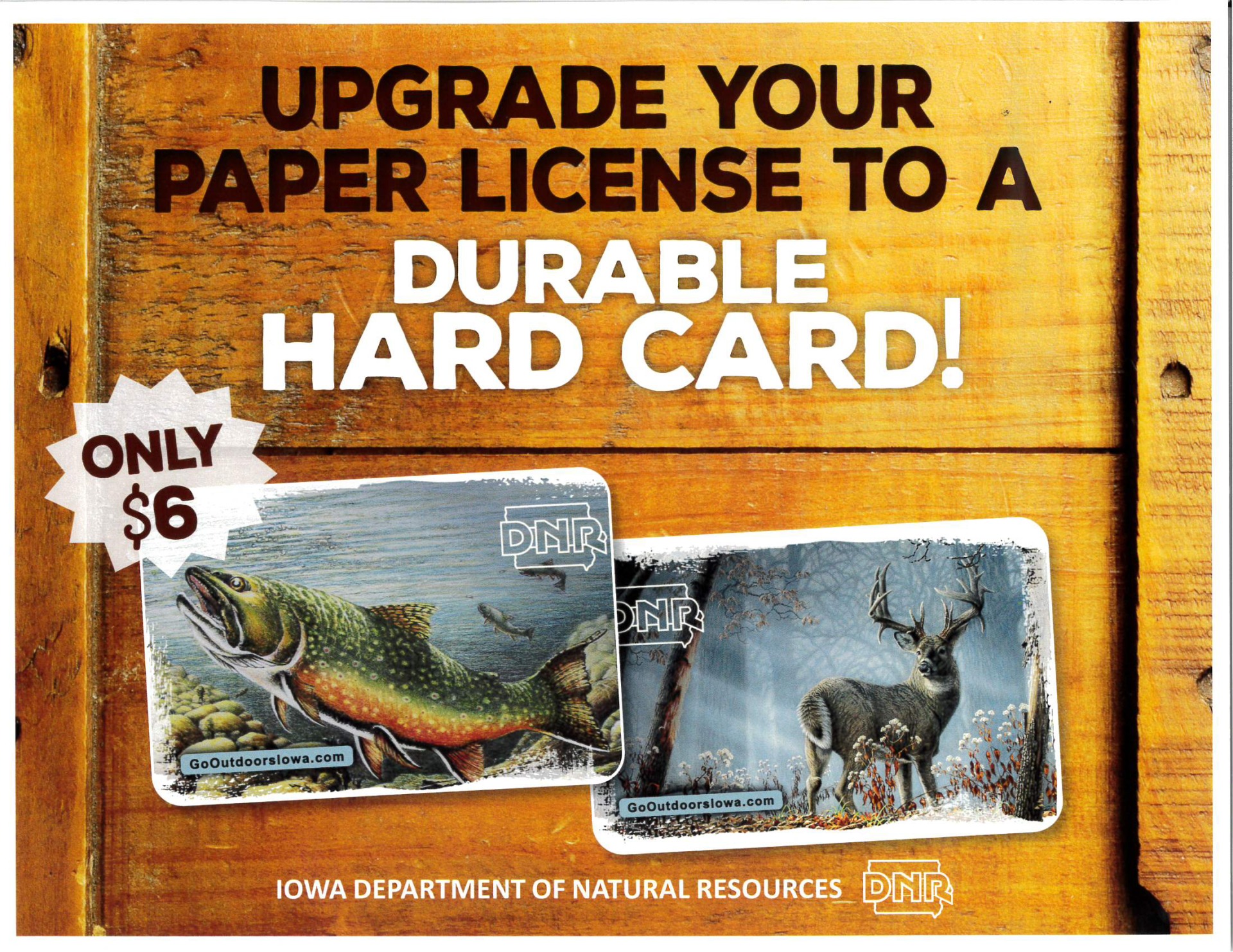 Upgrade your paper license to a durable card. Only $6.
